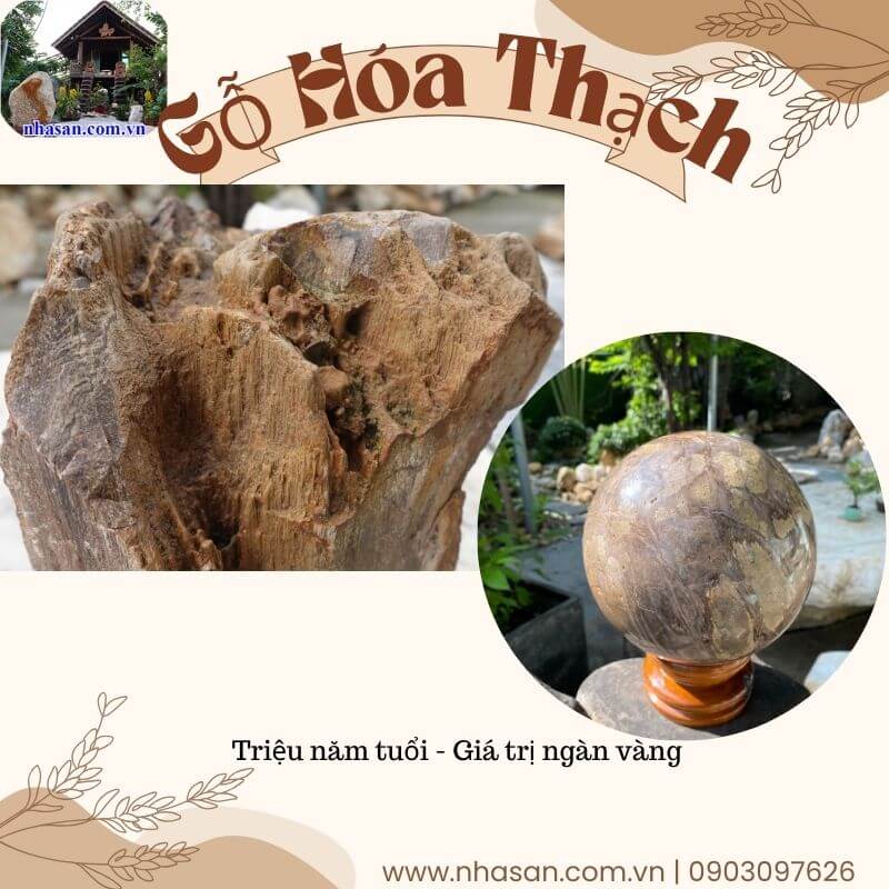 Gỗ hóa thạch là một loại đá được hình thành từ các thân cây bị chôn vùi trong lớp trầm tích Gỗ hóa thạch là một loại đá được hình thành từ các thân cây bị chôn vùi trong lớp trầm tích