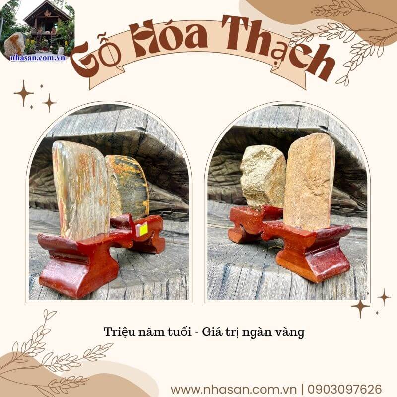 Gỗ hóa thạch đánh bóng là loại gỗ hóa thạch đã được xử lý, mài nhẵn Gỗ hóa thạch đánh bóng là loại gỗ hóa thạch đã được xử lý, mài nhẵn
