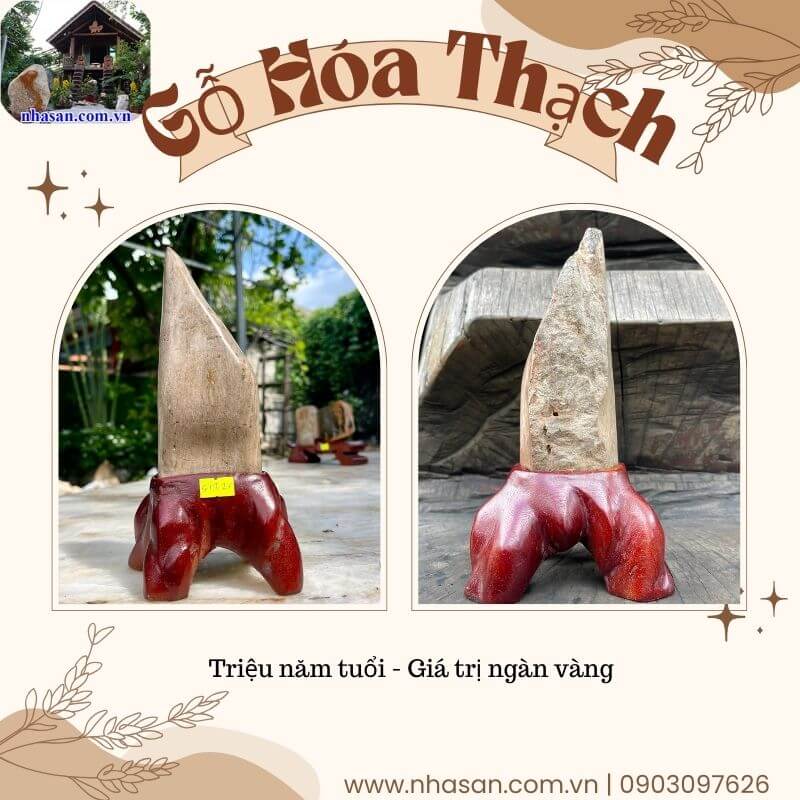 Gỗ hóa thạch là một thượng phẩm trang trí sang trọng, tinh tế Gỗ hóa thạch là một thượng phẩm trang trí sang trọng, tinh tế