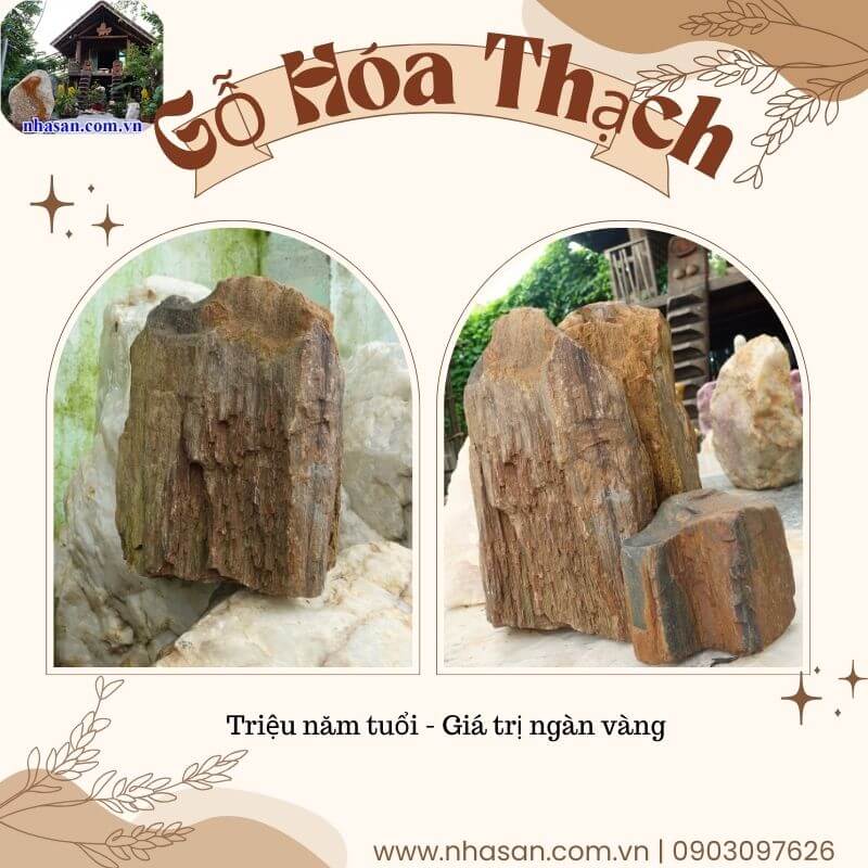 Gỗ hóa thạch thô thường được sử dụng làm đồ trang trí, vật phẩm phong thủy Gỗ hóa thạch thô thường được sử dụng làm đồ trang trí, vật phẩm phong thủy