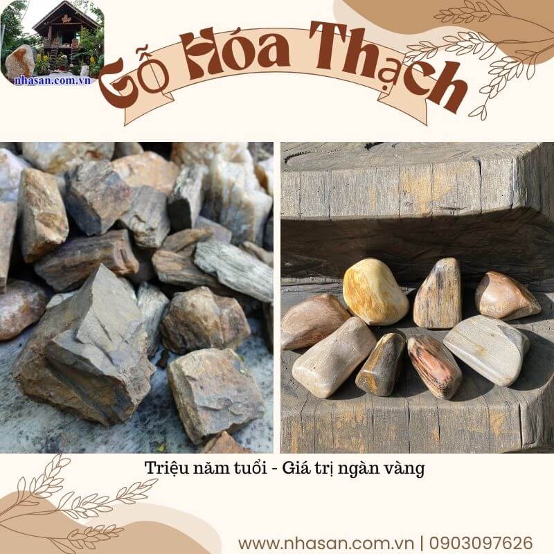 Gỗ hóa thạch có tác dụng trấn tà, trừ ám khí Gỗ hóa thạch có tác dụng trấn tà, trừ ám khí