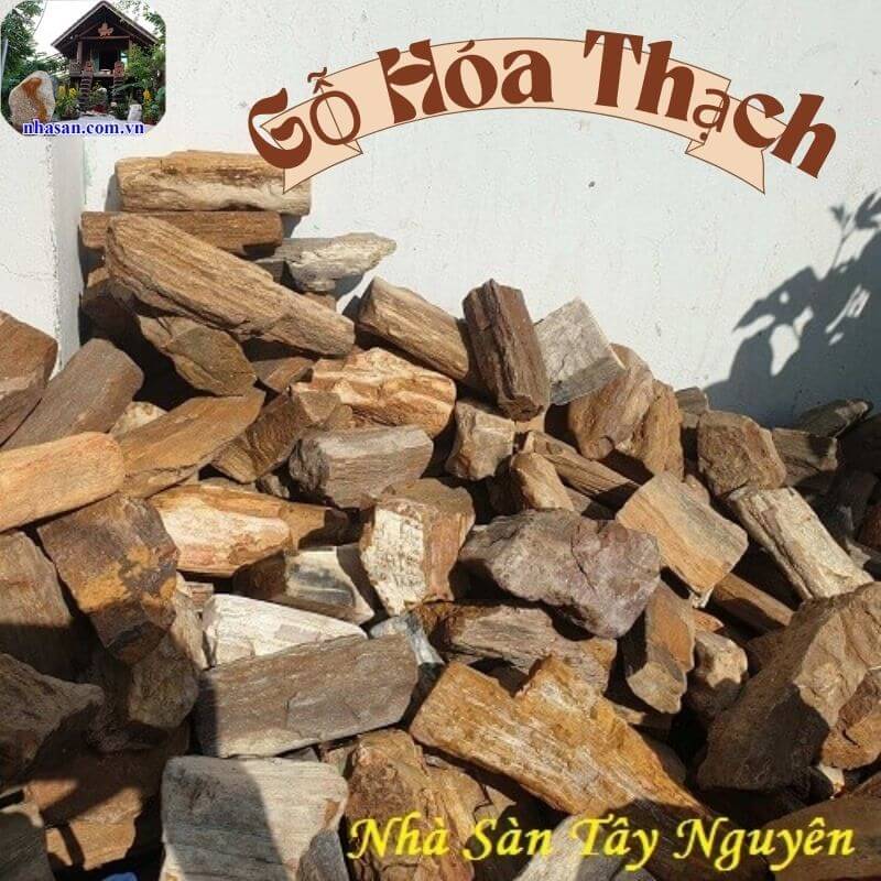 Nhà Sàn Tây Nguyên chuyên cung cấp gỗ hóa thạch thiên nhiên Nhà Sàn Tây Nguyên chuyên cung cấp gỗ hóa thạch thiên nhiên