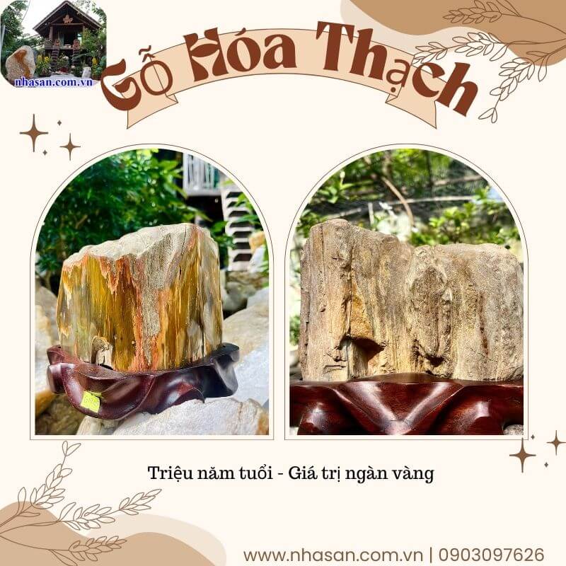 Vật phẩm được đánh giá là chứa năng lượng dương vô cùng lớn Vật phẩm được đánh giá là chứa năng lượng dương vô cùng lớn