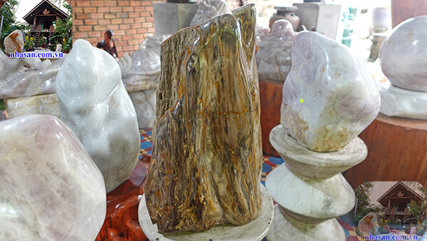 Gỗ hóa thạch thành phẩm đã được đánh bóng Gỗ hóa thạch thành phẩm đã được đánh bóng