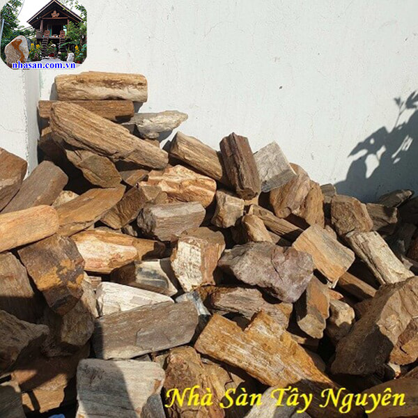 Gỗ hóa thạch bao nhiêu 1kg còn phụ thuộc vào nhiều yếu tố Gỗ hóa thạch bao nhiêu 1kg còn phụ thuộc vào nhiều yếu tố