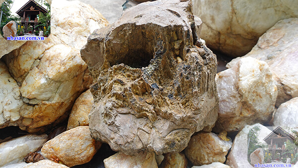 Gỗ hóa thạch thô được dùng trấn trạch, trang trí Gỗ hóa thạch thô được dùng trấn trạch, trang trí