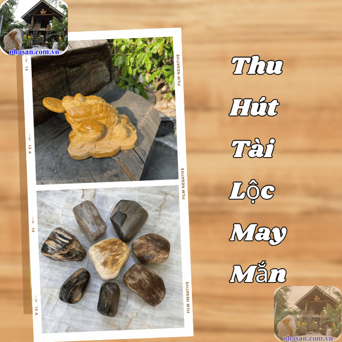 Đặt vật phẩm gỗ hóa thạch tại nơi làm việc sẽ giúp thu hút tài lộc, may mắn Đặt vật phẩm gỗ hóa thạch tại nơi làm việc sẽ giúp thu hút tài lộc, may mắn