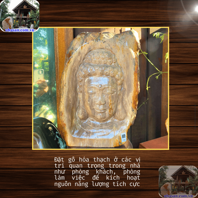 Gỗ hóa thạch có tác dụng gì đối với sức khỏe và tinh thần con người? Gỗ hóa thạch có tác dụng gì đối với sức khỏe và tinh thần con người?