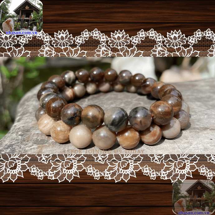 Đeo vòng gỗ hóa thạch giúp bồi dưỡng sức khỏe tốt Đeo vòng gỗ hóa thạch giúp bồi dưỡng sức khỏe tốt