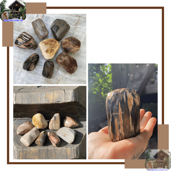 Thời gian cần để gỗ biến thành gỗ hóa thạch có thể kéo dài từ vài ngàn đến hàng triệu năm Thời gian cần để gỗ biến thành gỗ hóa thạch có thể kéo dài từ vài ngàn đến hàng triệu năm