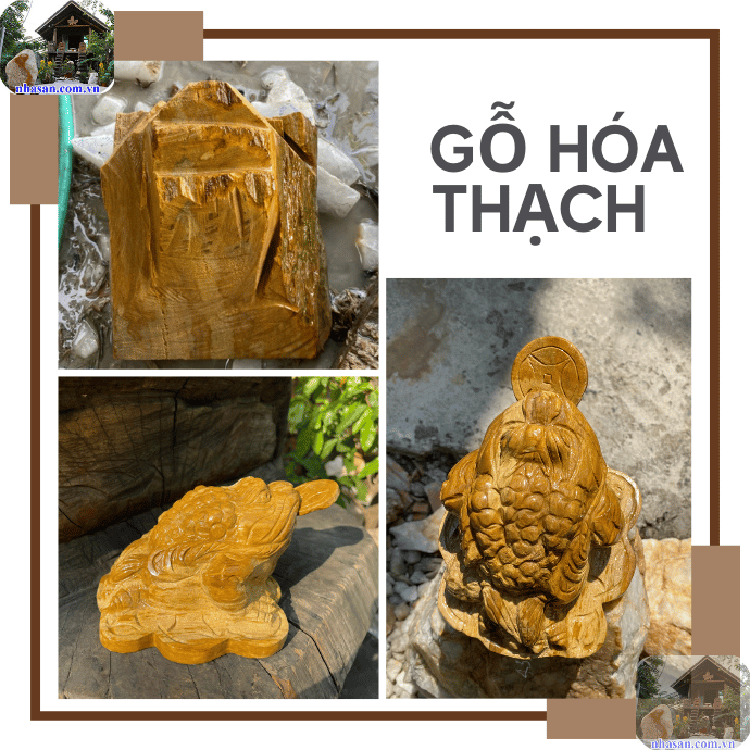 Gỗ hóa thạch được sử dụng trong chế tác thành vật phẩm phong thủy Gỗ hóa thạch được sử dụng trong chế tác thành vật phẩm phong thủy