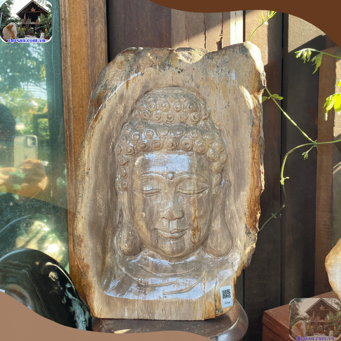 Gỗ hóa thạch được hình thành cách đây hàng triệu năm sẽ có giá trị cao Gỗ hóa thạch được hình thành cách đây hàng triệu năm sẽ có giá trị cao