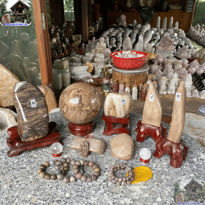 Trong tự nhiên, gỗ hóa thạch đắt không? Trong tự nhiên, gỗ hóa thạch đắt không?