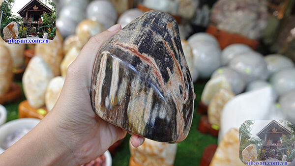 Chặn giấy gỗ hóa thạch tự nhiên Chặn giấy gỗ hóa thạch tự nhiên