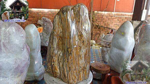 Gỗ hóa thạch tự nhiên đã được đánh bóng Gỗ hóa thạch tự nhiên đã được đánh bóng