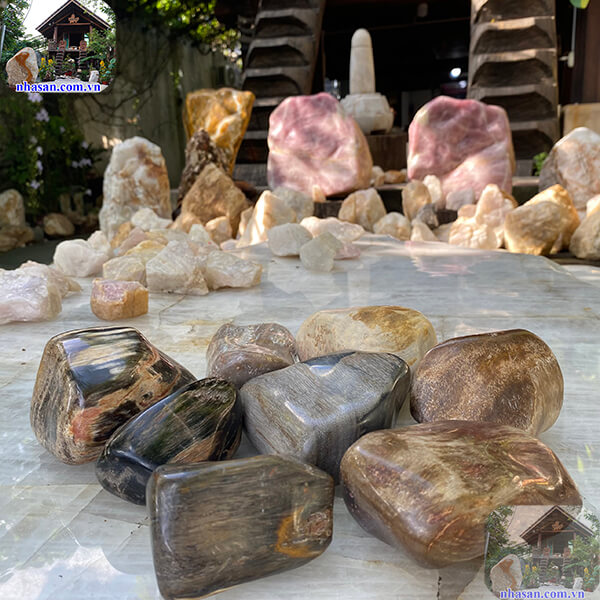 Gỗ hóa thạch được dùng để làm chặn giấy Gỗ hóa thạch được dùng để làm chặn giấy