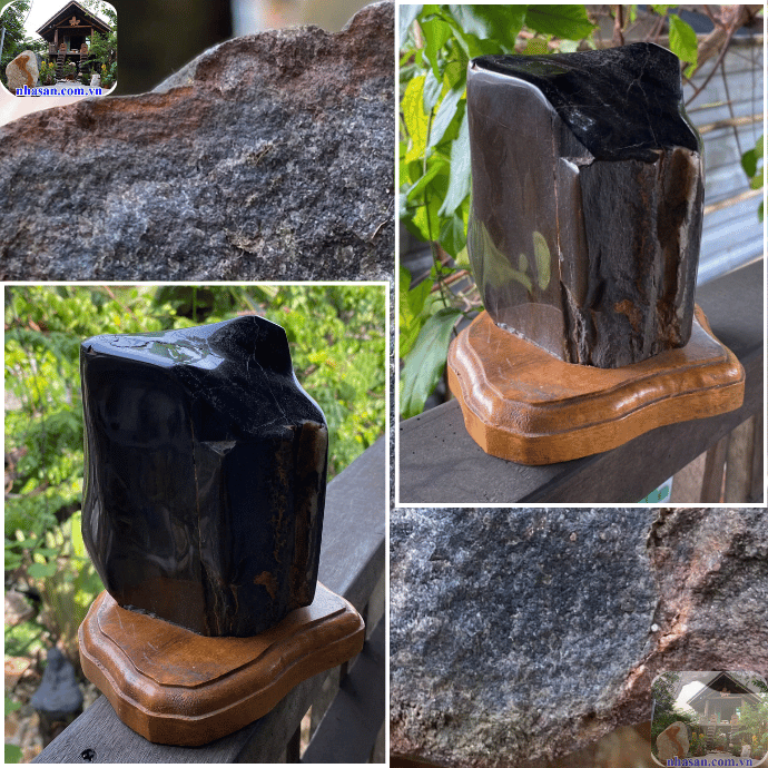 Gỗ hóa thạch màu đen rất cứng, khó trầy xước Gỗ hóa thạch màu đen rất cứng, khó trầy xước