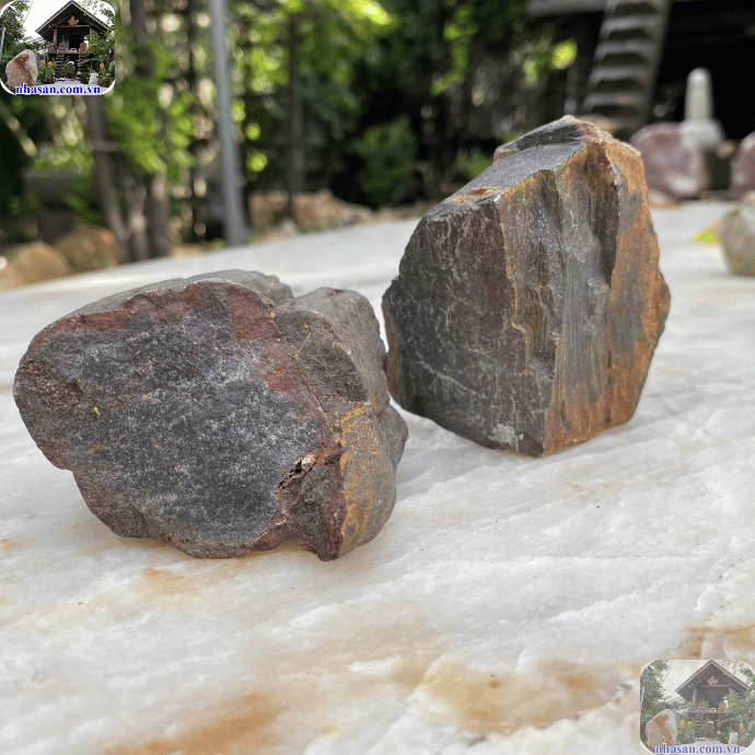 Gỗ hóa thạch màu đen được hình thành từ quá trình hóa thạch của gỗ cổ đại Gỗ hóa thạch màu đen được hình thành từ quá trình hóa thạch của gỗ cổ đại