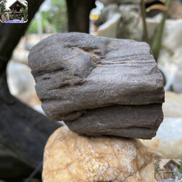 Là lựa chọn tuyệt vời để làm vật phẩm trang trí trong ngôi nhà, văn phòng Là lựa chọn tuyệt vời để làm vật phẩm trang trí trong ngôi nhà, văn phòng