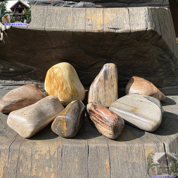 Gỗ hóa thạch giúp tạo năng lượng sinh khí cho nhà ở Gỗ hóa thạch giúp tạo năng lượng sinh khí cho nhà ở