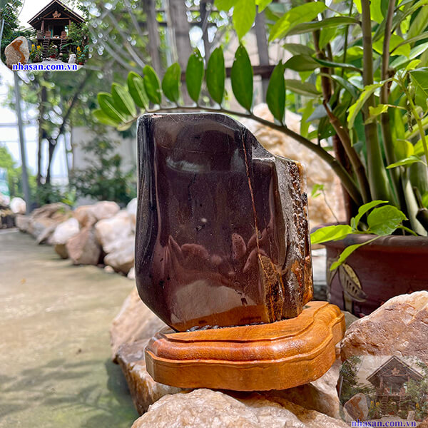 Gỗ hóa thạch mang năng lượng dương cao Gỗ hóa thạch mang năng lượng dương cao