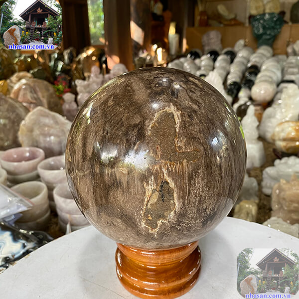 Quả cầu gỗ hóa thạch tự nhiên Quả cầu gỗ hóa thạch tự nhiên