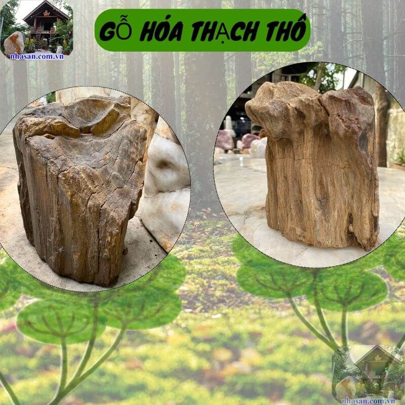 Giải pháp trấn trạch, decor mới lạ cho nhà ở, doanh nghiệp Giải pháp trấn trạch, decor mới lạ cho nhà ở, doanh nghiệp