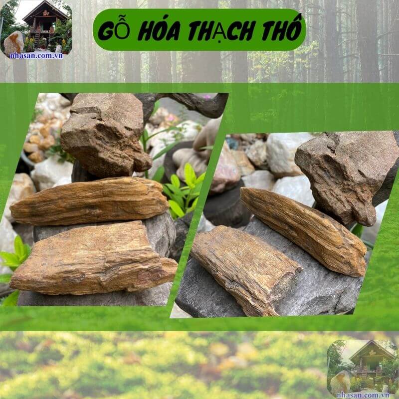 Gỗ hóa thạch thô có vẻ đẹp cổ kính, sang trọng và mang đậm dấu ấn của thời gian Gỗ hóa thạch thô có vẻ đẹp cổ kính, sang trọng và mang đậm dấu ấn của thời gian