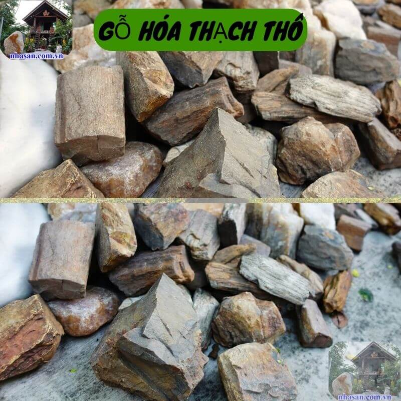 Gỗ hóa thạch thô được hình thành từ sự biến đổi của gỗ trong lòng thạch nham Gỗ hóa thạch thô được hình thành từ sự biến đổi của gỗ trong lòng thạch nham