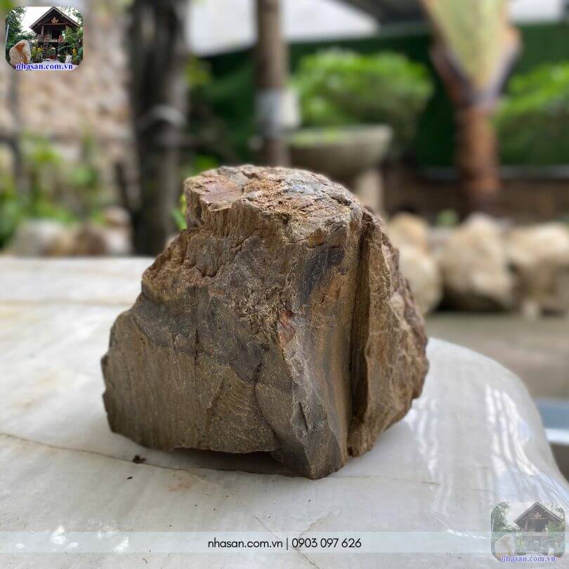Cận cảnh mặt sau của khối gỗ hóa thạch thô HTT01 tự nhiên tại Nhà Sàn Tây Nguyên Cận cảnh mặt sau của khối gỗ hóa thạch thô HTT01 tự nhiên tại Nhà Sàn Tây Nguyên