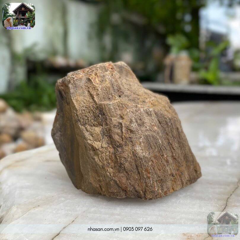 Góc chụp nghiêng của khối gỗ hóa thạch thô HTT01 tự nhiên làm nổi bật những đường vân cổ thụ xưa Góc chụp nghiêng của khối gỗ hóa thạch thô HTT01 tự nhiên làm nổi bật những đường vân cổ thụ xưa