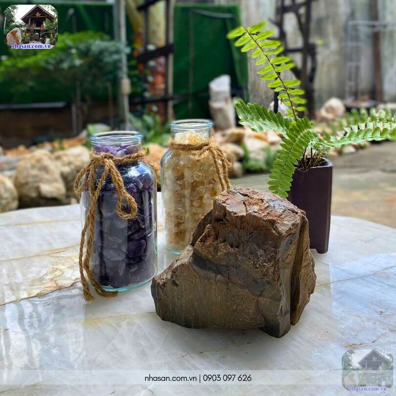 Khối gỗ hóa thạch thô HTT01 decor bàn làm việc Khối gỗ hóa thạch thô HTT01 decor bàn làm việc