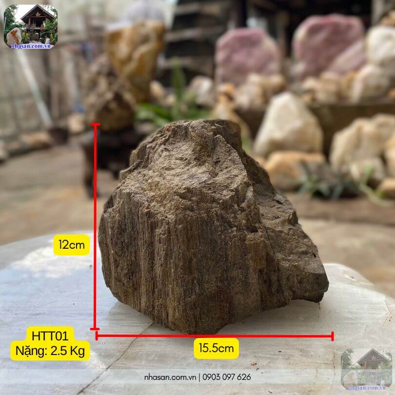 Khối gỗ hóa thạch thô HTT01 nặng 2.5kg tự nhiên, cao 12cm Khối gỗ hóa thạch thô HTT01 nặng 2.5kg tự nhiên, cao 12cm