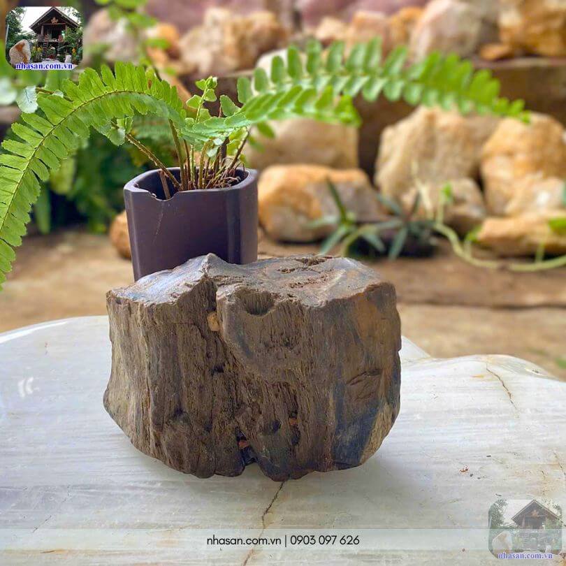 Cận cảnh mặt sau của khối gỗ hóa thạch thô HTT02 tự nhiên Cận cảnh mặt sau của khối gỗ hóa thạch thô HTT02 tự nhiên