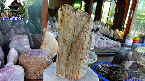 Là nguồn tài nguyên quý báu của thiên nhiên Là nguồn tài nguyên quý báu của thiên nhiên