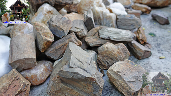 Gỗ hóa thạch Việt Nam vô cùng đa dạng Gỗ hóa thạch Việt Nam vô cùng đa dạng