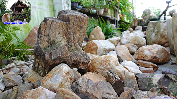 Phân bố ở những nơi đã từng có sự hoạt động của núi lửa Phân bố ở những nơi đã từng có sự hoạt động của núi lửa