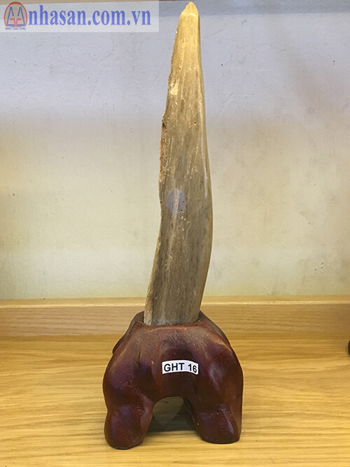 Petrified Wood-GHT16