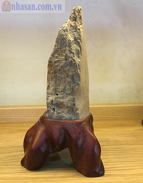 Petrified Wood-GHT17.1