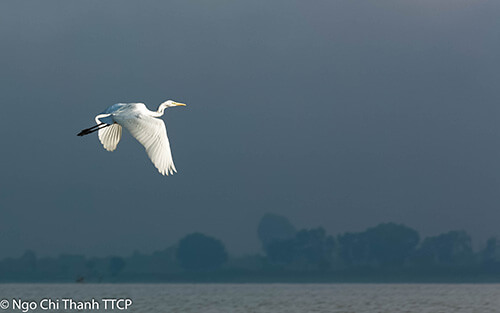 Cảnh vật Hồ Lăk