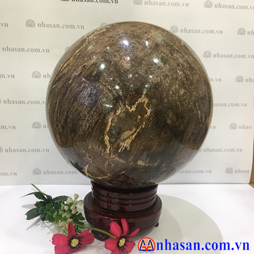 Quả Cầu Gỗ Hóa Thạch QC-56.2 Quả Cầu Gỗ Hóa Thạch QC-56.2