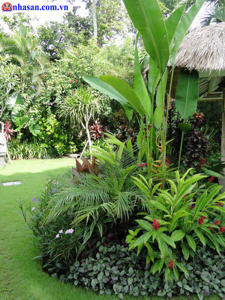 Cây cối đâm chồi này lộc