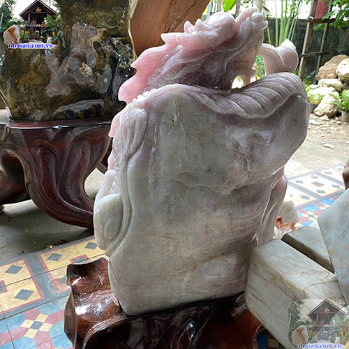 Thích hợp đặt ở nơi ở hoặc văn phòng công ty Thích hợp đặt ở nơi ở hoặc văn phòng công ty