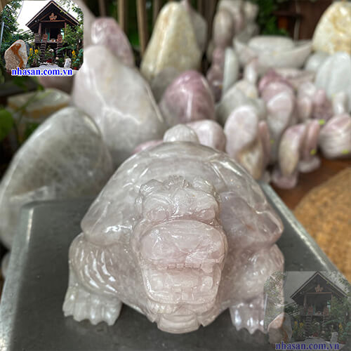 Cách khai quang rùa đầu rồng Cách khai quang rùa đầu rồng