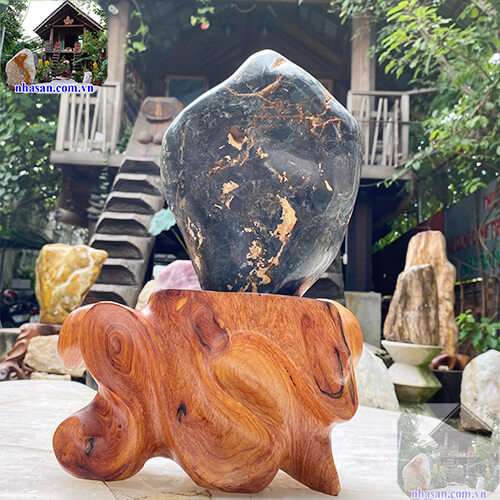 Canxedon đem đến vạn sự tốt lành cho gia chủ Canxedon đem đến vạn sự tốt lành cho gia chủ