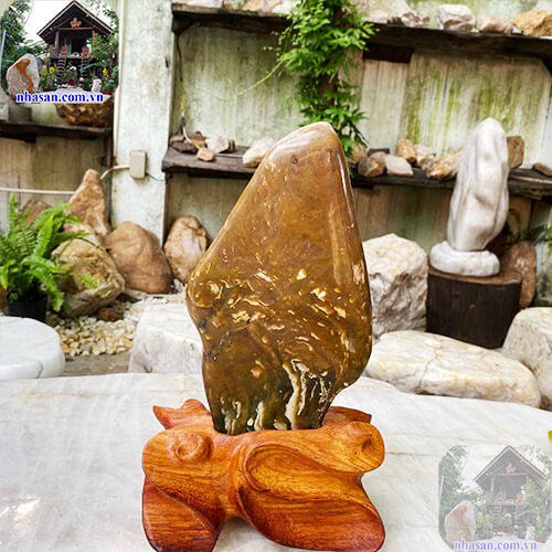 canxedon lá bùa hộ mệnh của gia chủ canxedon lá bùa hộ mệnh của gia chủ