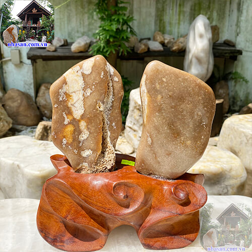 Canxedon thiên nhiên giúp điều trị các chứng loạn thần kinh và trầm uất Canxedon thiên nhiên giúp điều trị các chứng loạn thần kinh và trầm uất