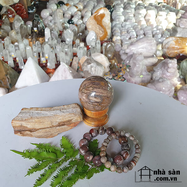 Cầu Đá Gỗ Hóa Thạch