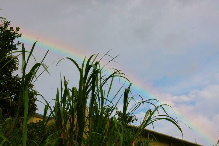 Cầu vòng báo hiệu cuộc sống tốt lành