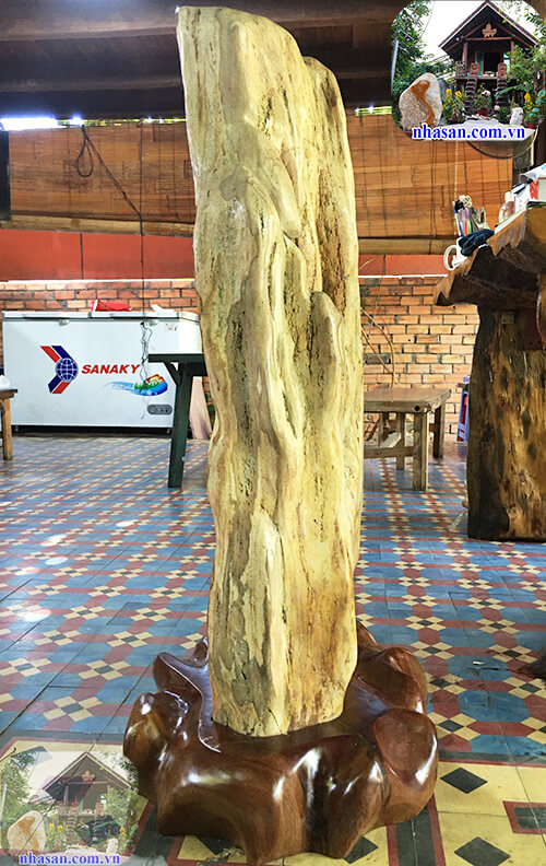 Cây gỗ hóa đá Cây gỗ hóa đá